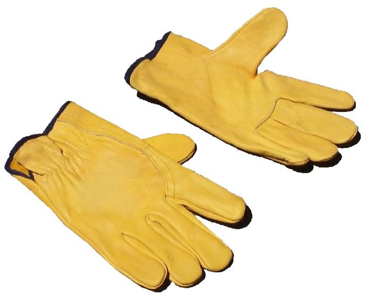 Gloves (Clean).jpg